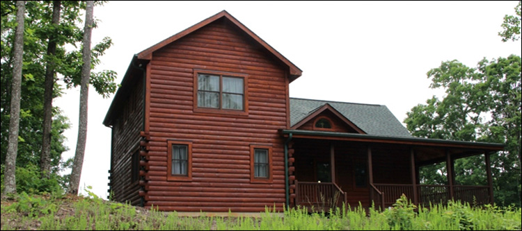 Professional Log Home Borate Application  Beaverton, Alabama